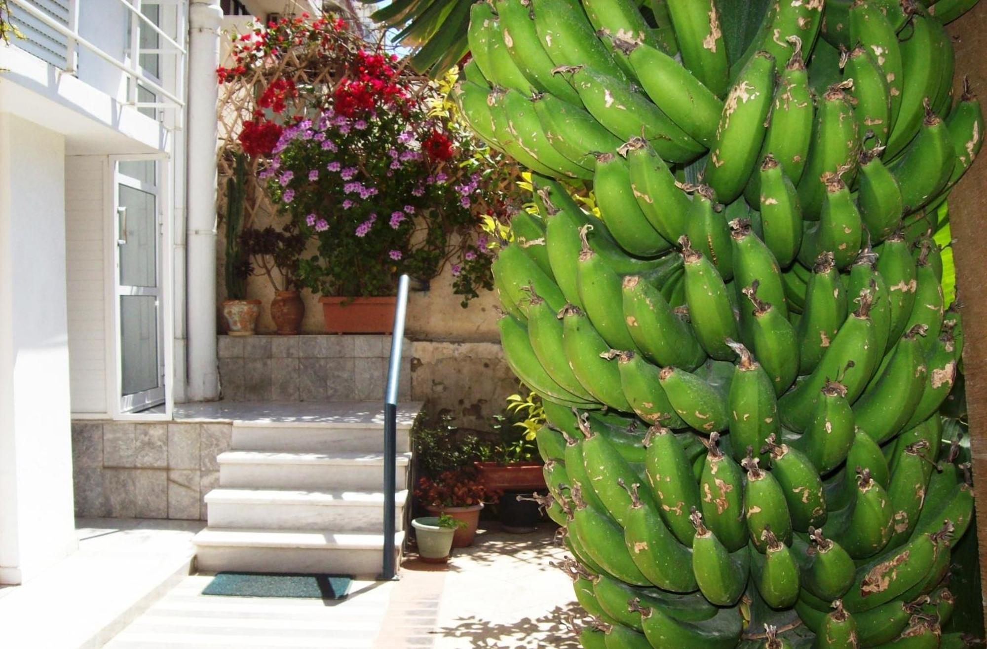 Diana Rooms Chania  Exterior photo